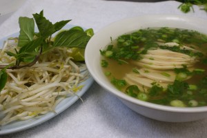 Chicken noodle soup (pho ga)